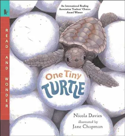 One Tiny Turtle封面