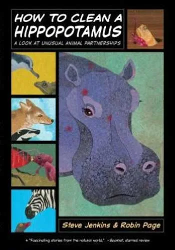 How to Clean a Hippopotamus封面