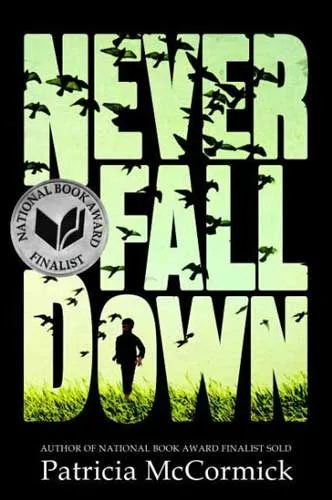 Never Fall Down cover