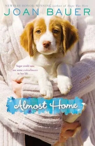 Almost Home cover