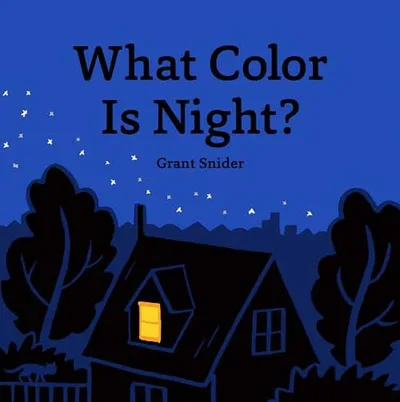 What Color Is Night?封面